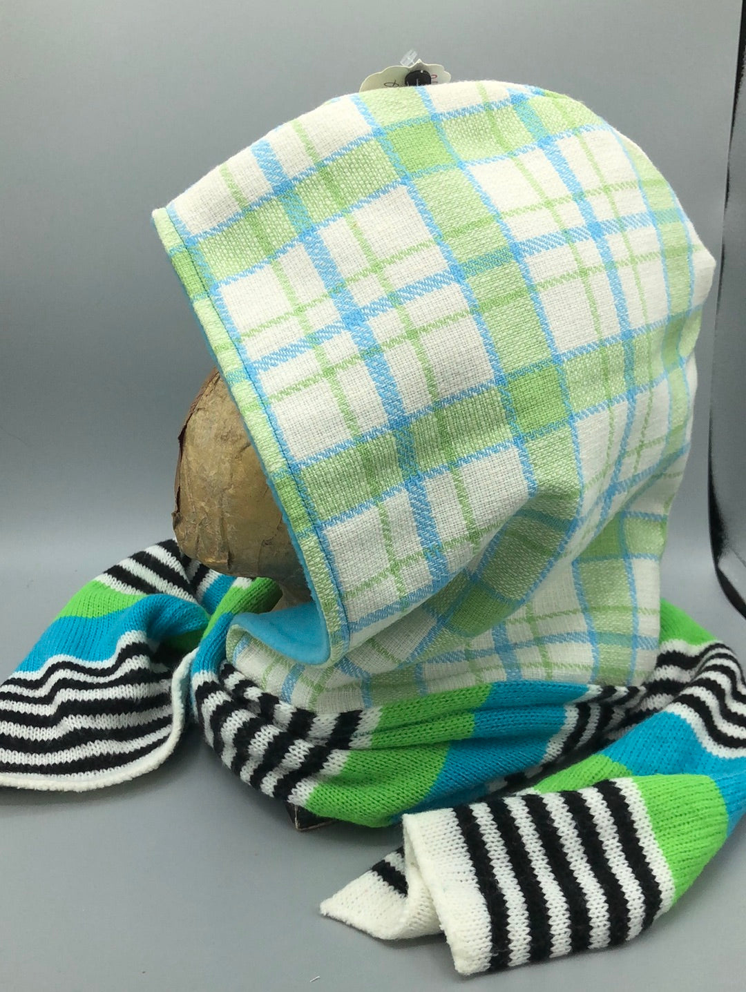 Green and White Plaid Hoodie Scarf with Blue Lining and colorful striped scarf with cat and dog patches